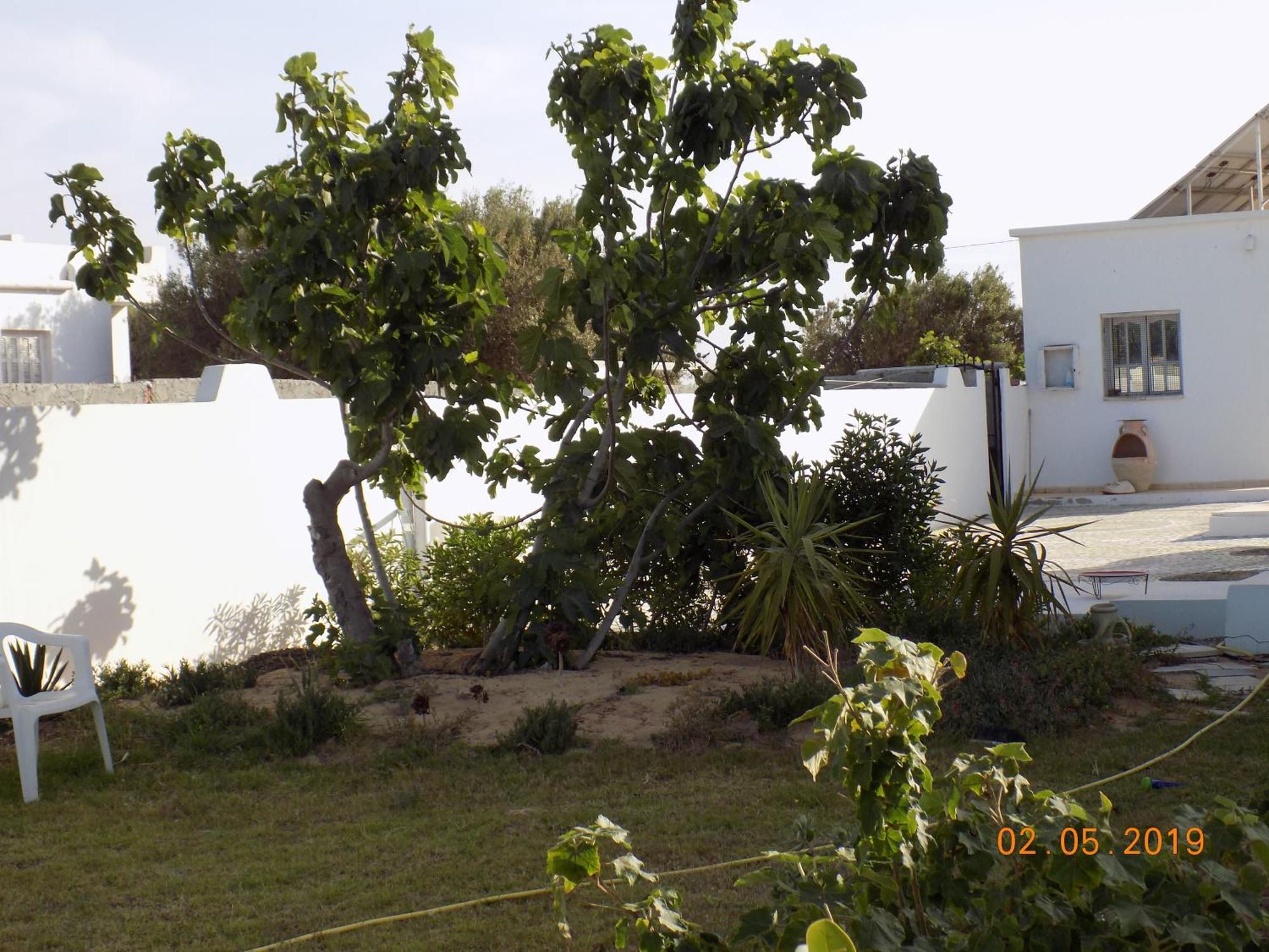 Bed and Breakfast Dar Mamina Sidi ash Shammakh Exteriér fotografie