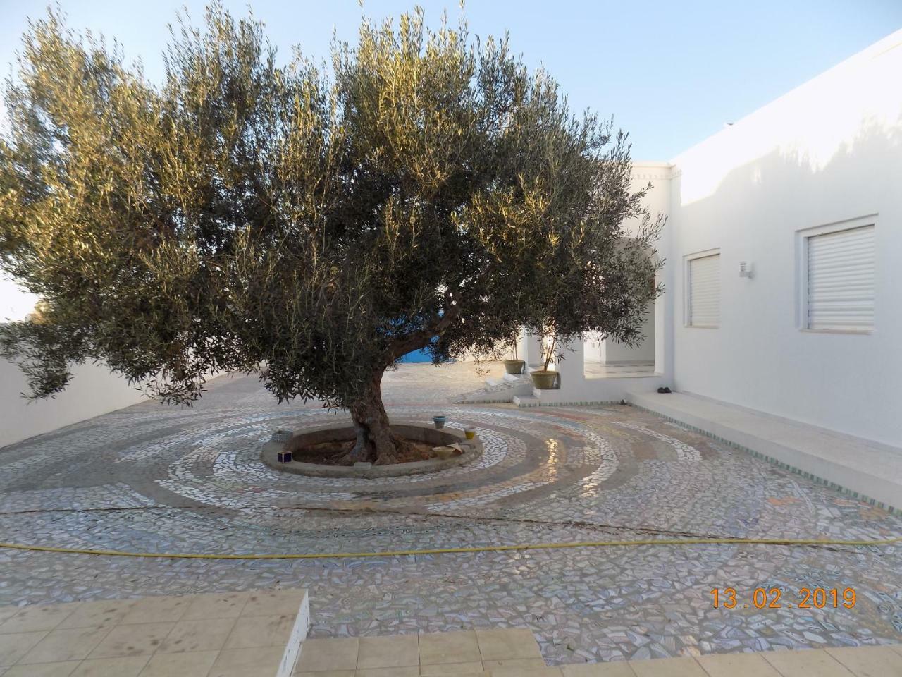 Bed and Breakfast Dar Mamina Sidi ash Shammakh Exteriér fotografie
