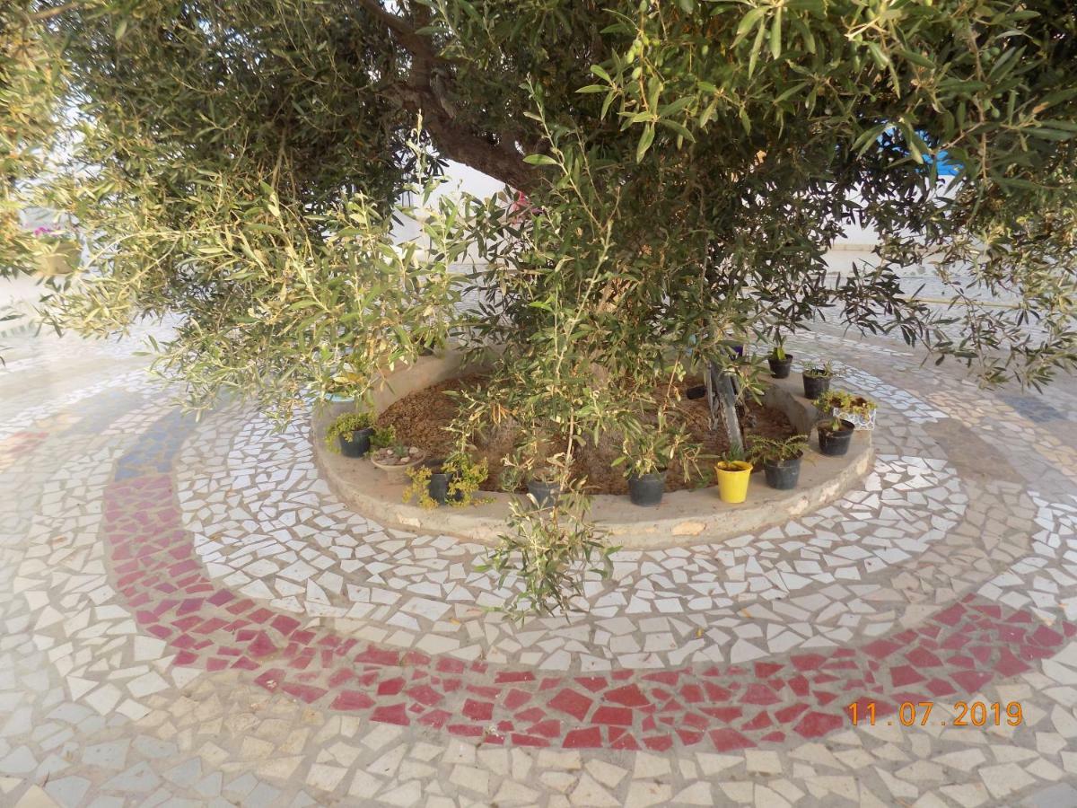 Bed and Breakfast Dar Mamina Sidi ash Shammakh Exteriér fotografie