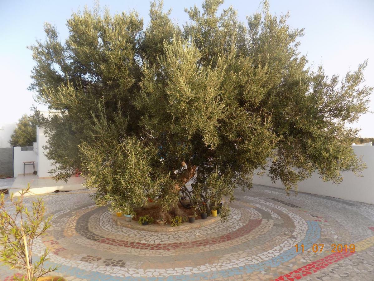 Bed and Breakfast Dar Mamina Sidi ash Shammakh Exteriér fotografie
